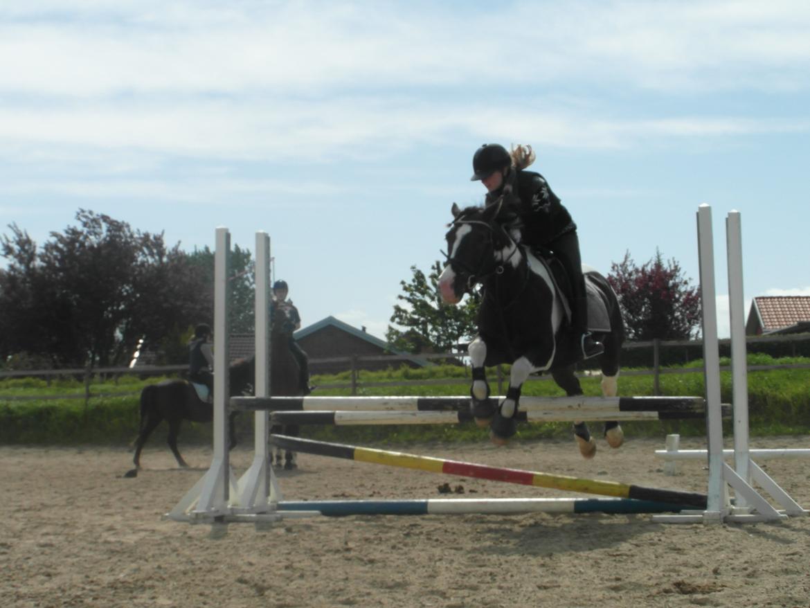 Anden særlig race Haffe Laffe - På vores første ridelejr. billede 10