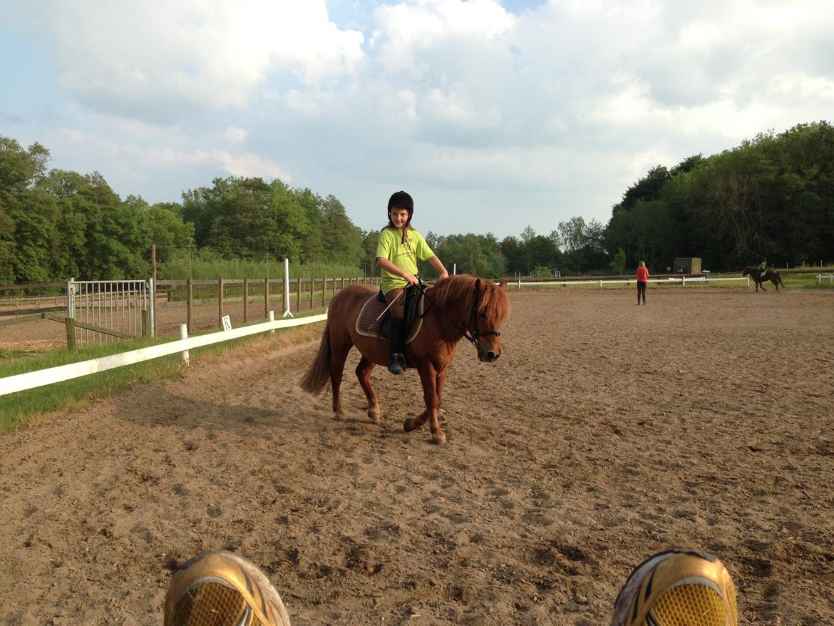 Anden særlig race Tarzan billede 4