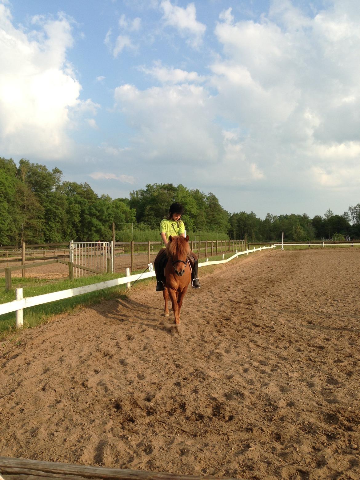Anden særlig race Tarzan billede 5