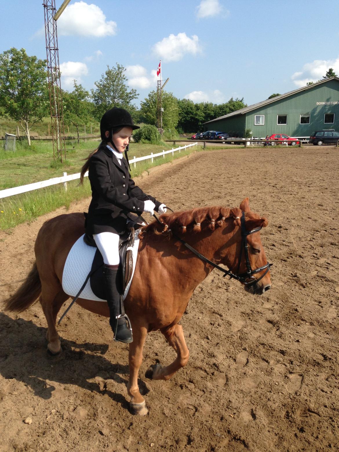 Anden særlig race Tarzan - Også til stævnet:) billede 3