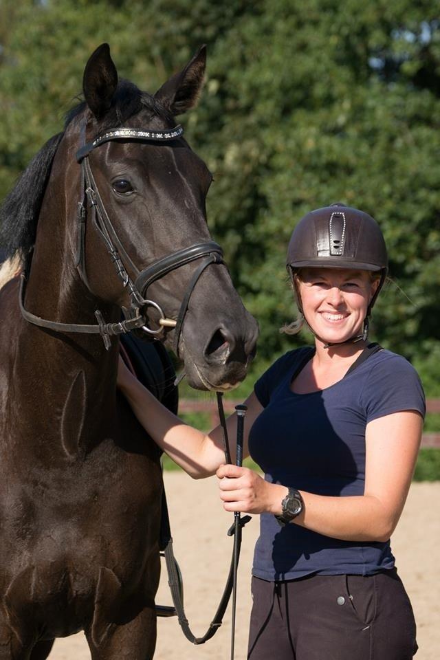 Dansk Varmblod Prada - Myl og Prada billede 1