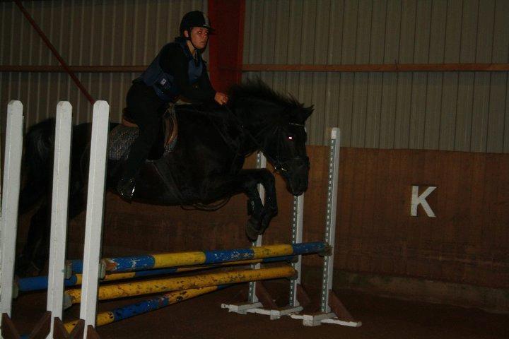 Anden særlig race Chico (Oldenborg/DSP) billede 13