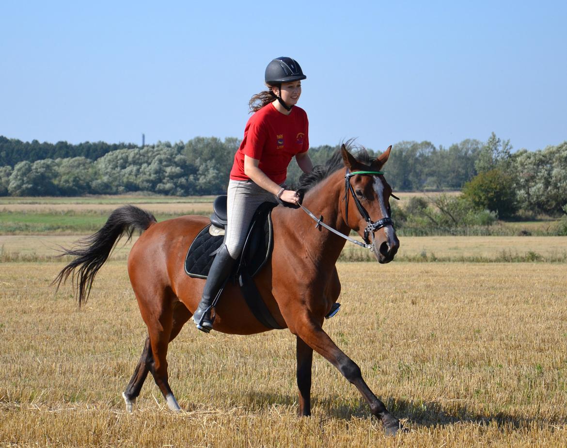 Anden særlig race Atento M.A.T.C.H - Wrooooom, vi giver den gas! - September 2013. billede 4