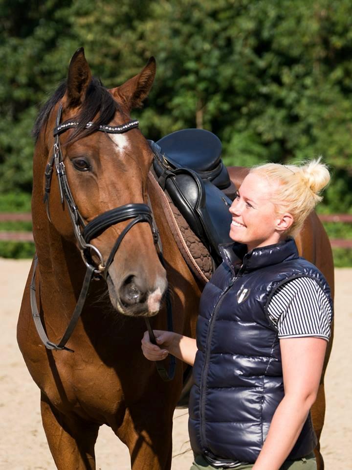 Dansk Varmblod Hoeck's Caliscan billede 6