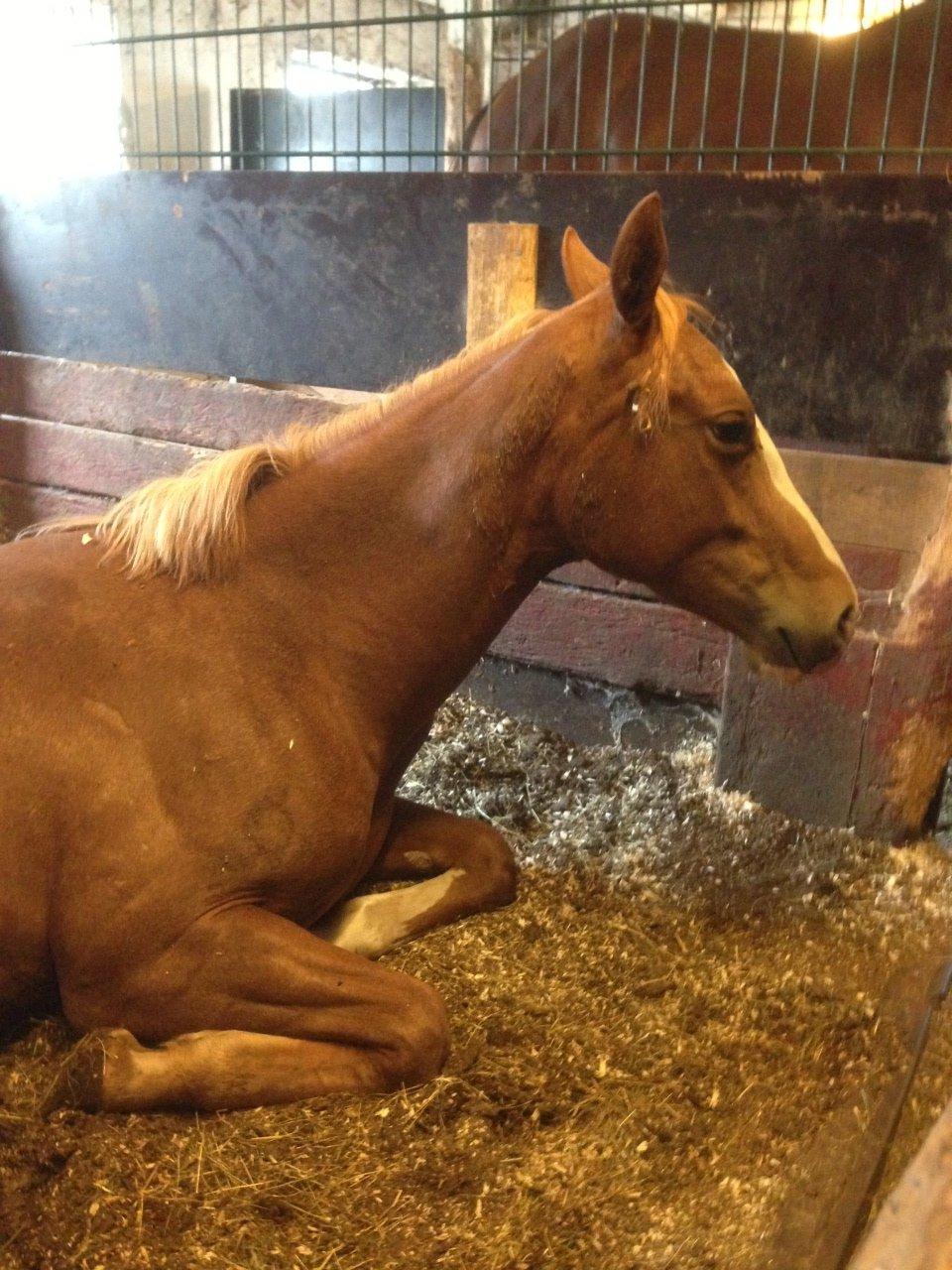 Paint Gambler Slowmotion billede 9