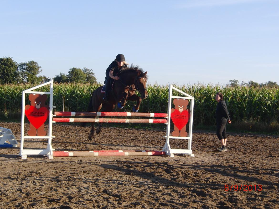 Anden særlig race Bambi billede 3