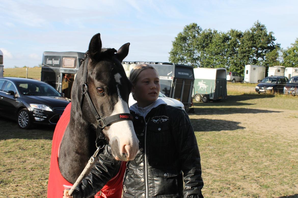 DSP Principal Touch - Ved Sjællandsmesterskaberne.
2013. Blev nr. 4 billede 32