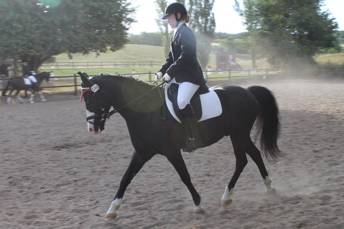 DSP Principal Touch - Sjællandsmesterskaberne 2013 billede 33