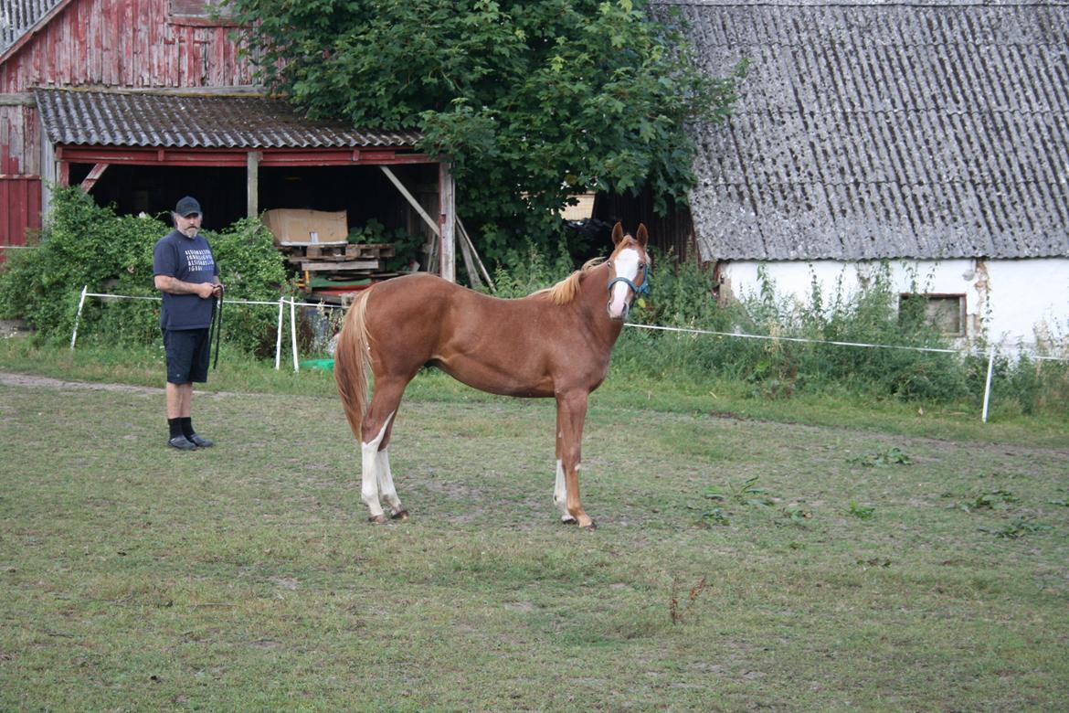 Paint Gambler Slowmotion billede 11