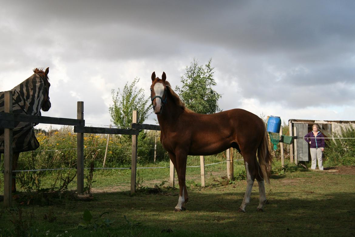 Paint Gambler Slowmotion billede 12