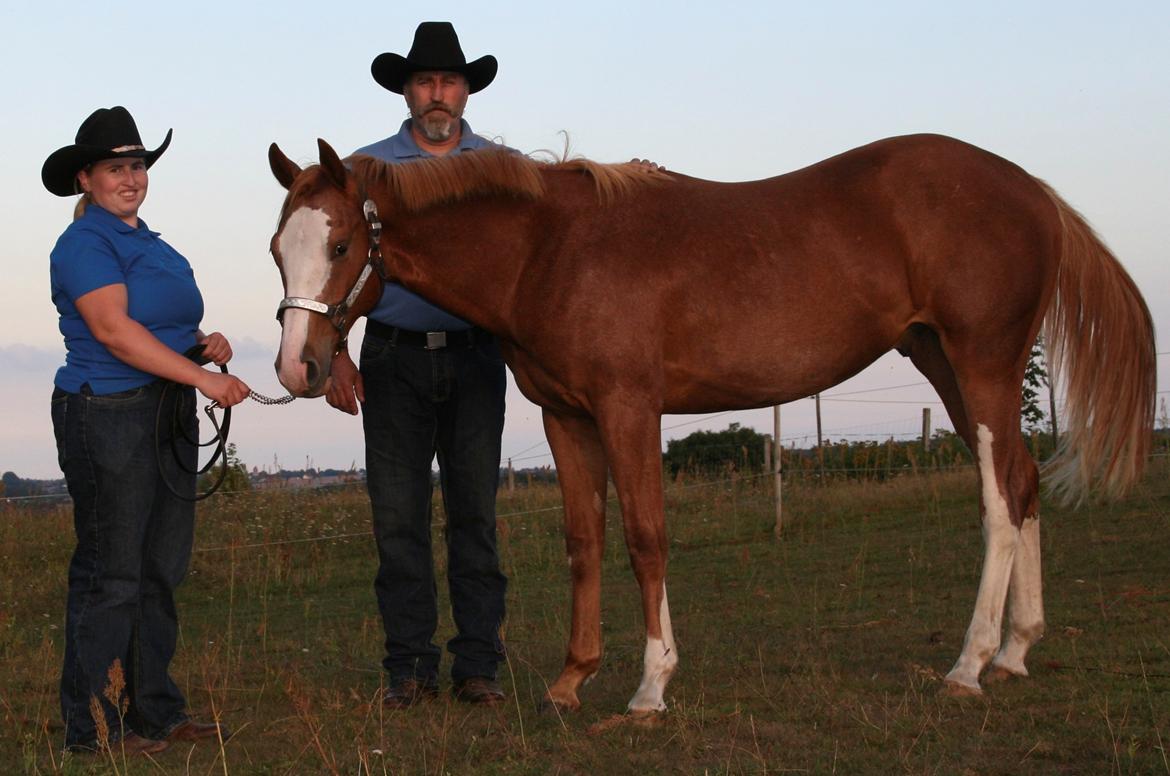 Paint Gambler Slowmotion billede 16