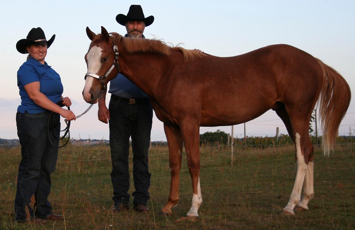 Paint Gambler Slowmotion billede 17