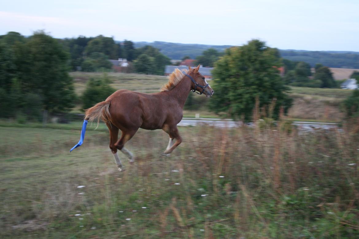 Paint Gambler Slowmotion billede 20