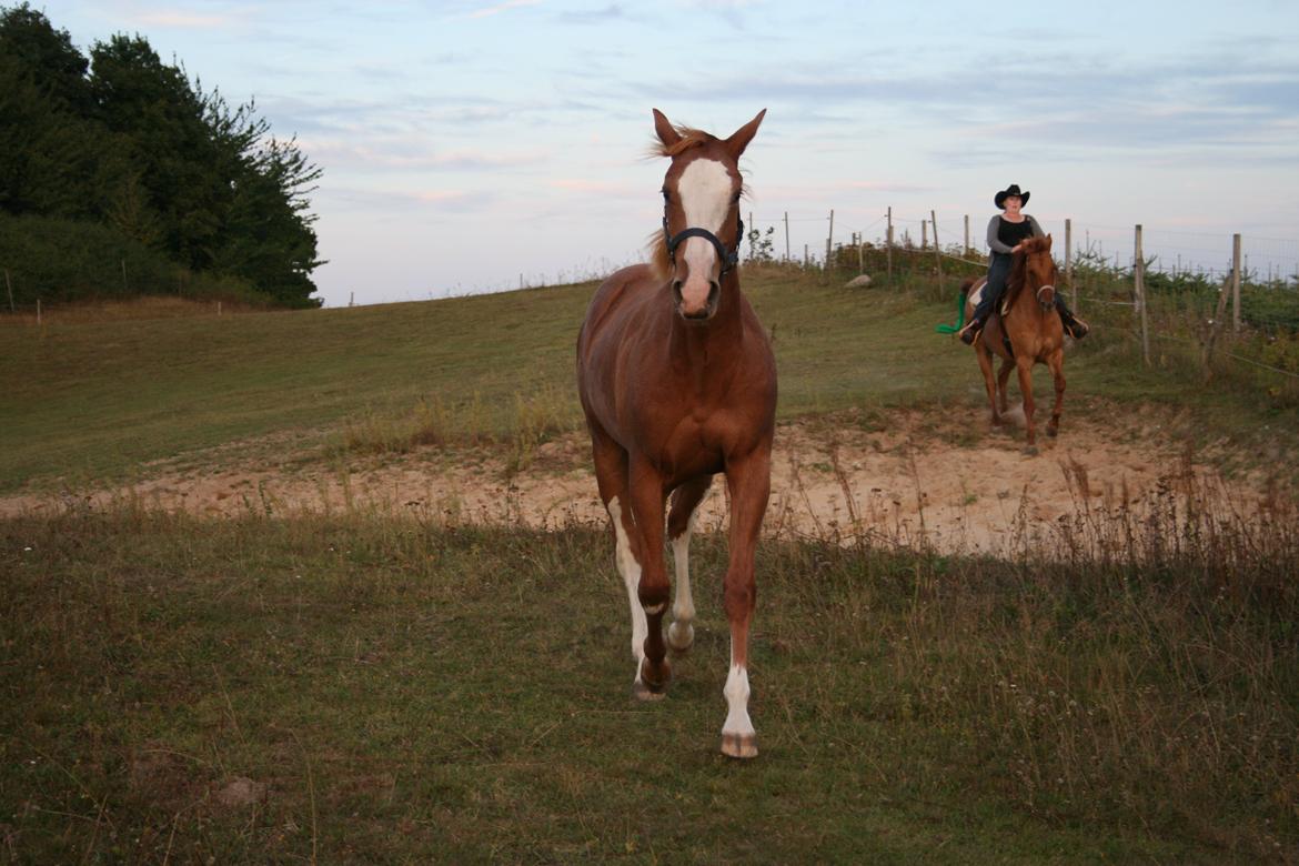 Paint Gambler Slowmotion billede 4