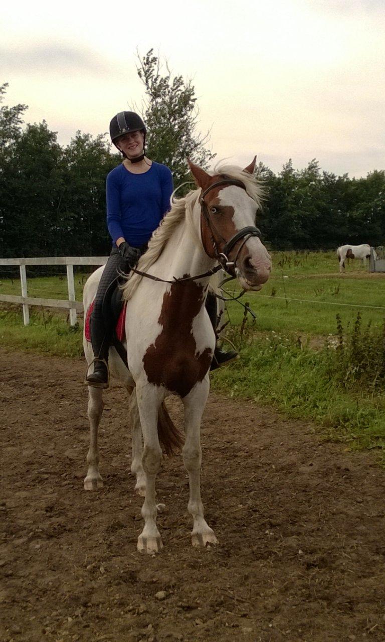 Barockpinto Langsigen Flint <3 - Anden gang på ryggen af ham. billede 5