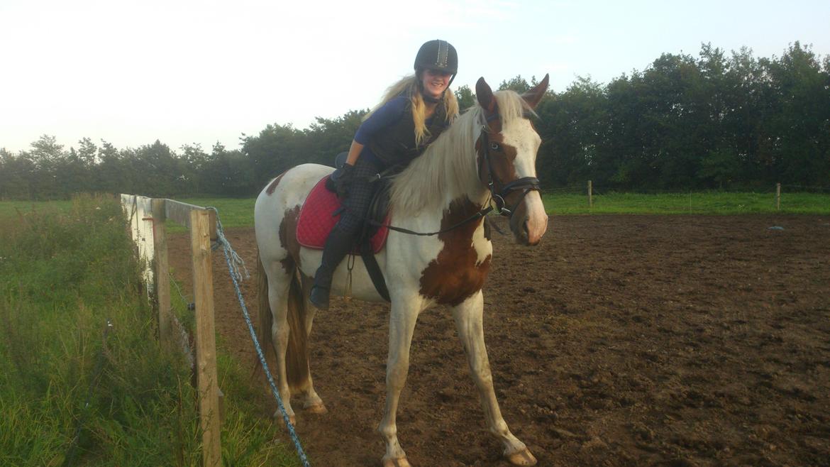 Barockpinto Langsigen Flint <3 - Flint! <3 billede 11