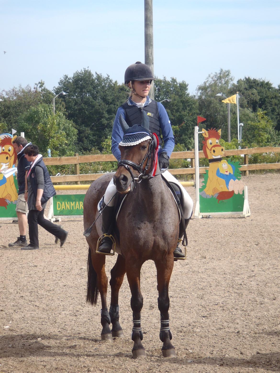 Anden særlig race Mr. Abel billede 1