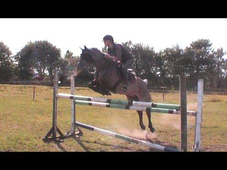 Anden særlig race Mr. Abel billede 5