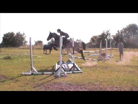 Anden særlig race Mr. Abel billede 6