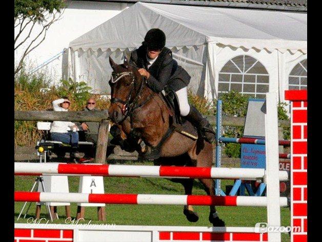 Anden særlig race Mr. Abel - Min træner Thea og Abel billede 8