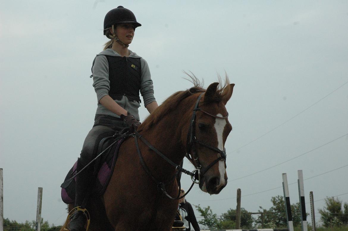 Anden særlig race Isobell billede 2