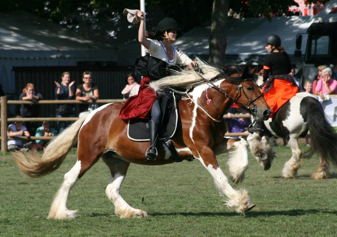 Tinker Satin's Con Fetti - Store Hestedag 2013 billede 1