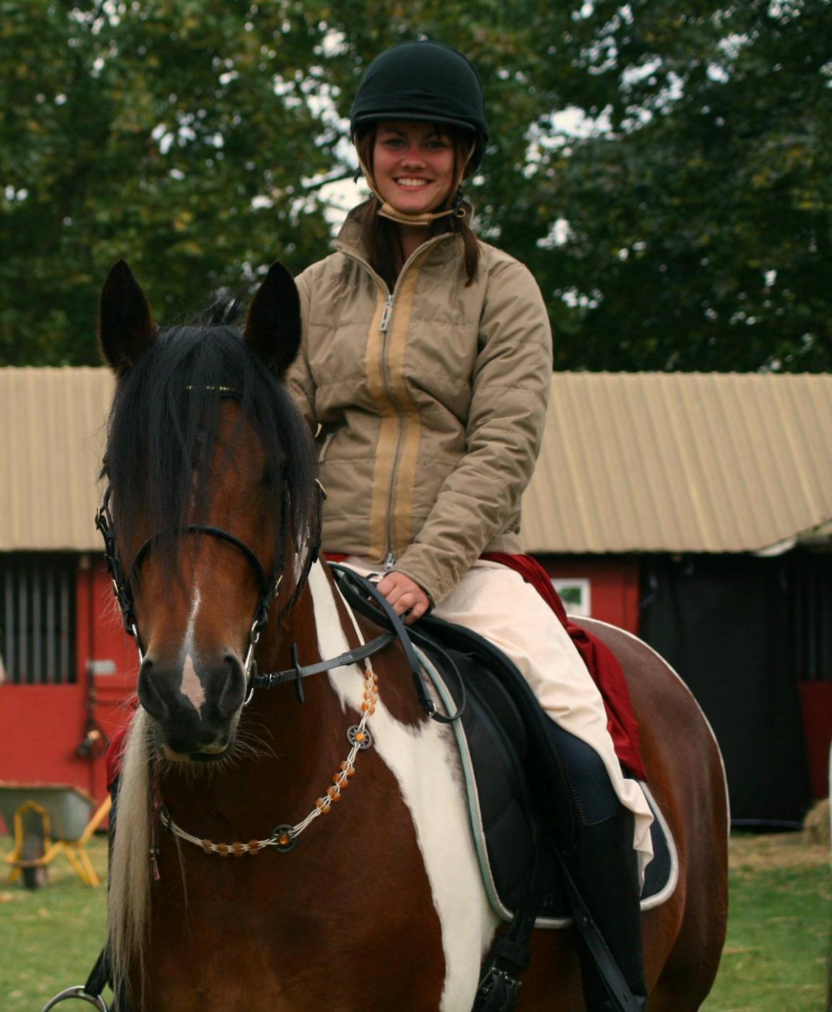 Tinker Satin's Con Fetti - Store Hestedag 2013 billede 2