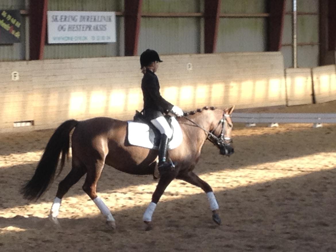 New Forest Danique *Pensionist* - Lille mig på kun 10 år! :O Og Danique som bare er så skøn!! <3 - Foto Mor billede 8