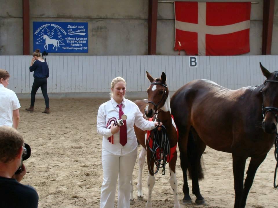 Pinto Gaasdal´s Spotlight billede 3