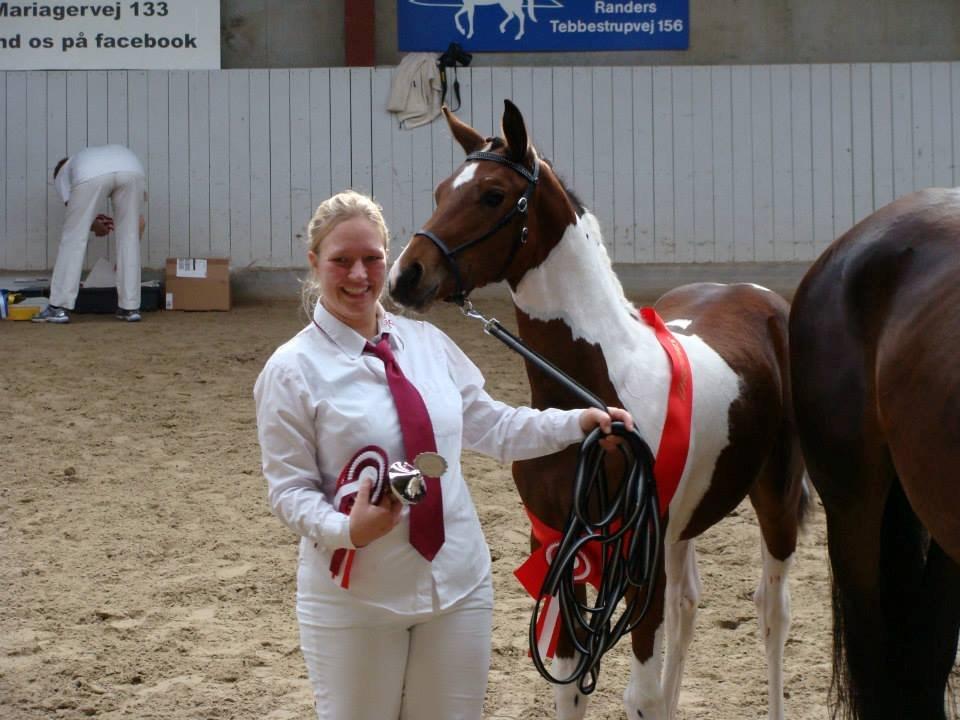 Pinto Gaasdal´s Spotlight billede 4