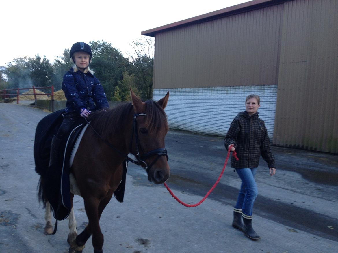 New Forest Danique *Pensionist* - Lille Chalotte rider en tur på Danique i skoven! :) - Foto Mor billede 21