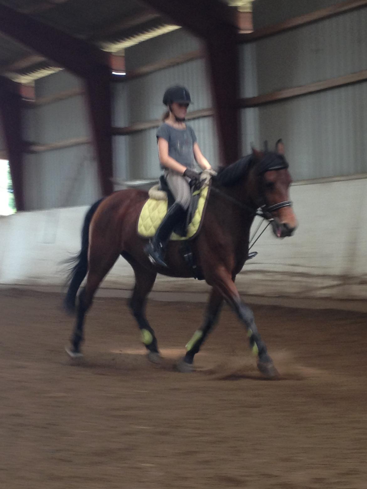 Anden særlig race Laura billede 11