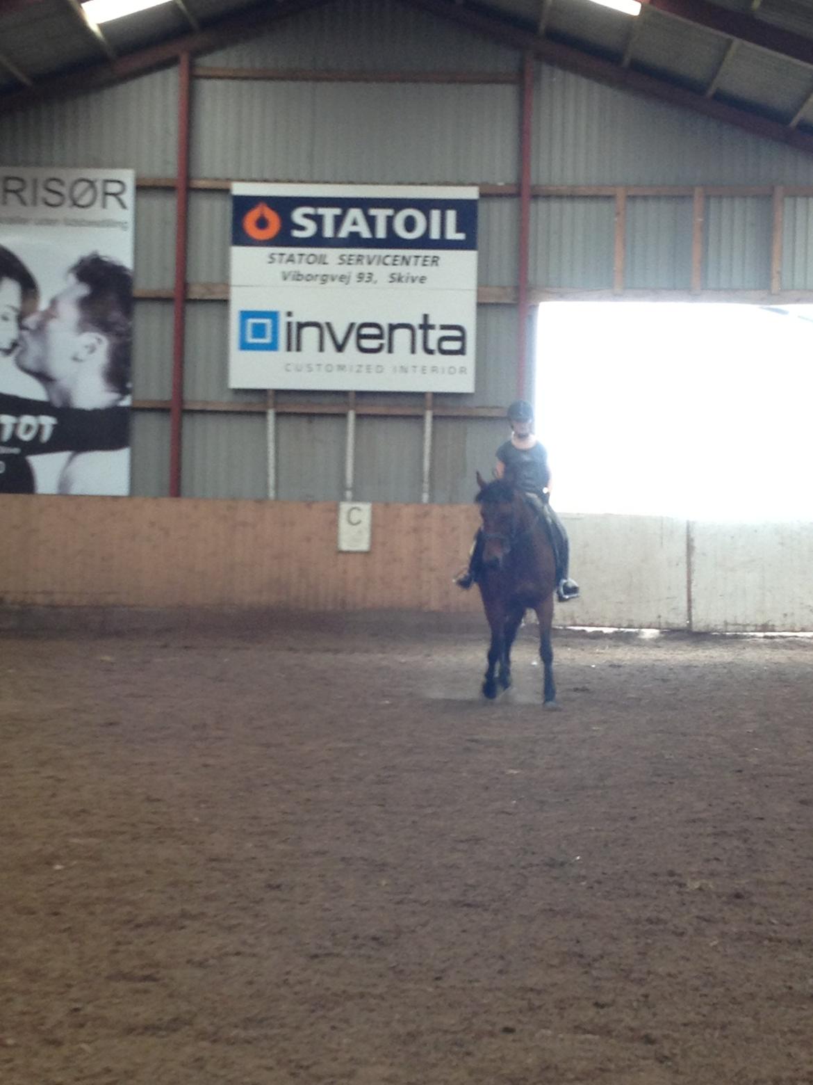 Anden særlig race Laura - Forsøg på schenkelvigning. :) billede 12