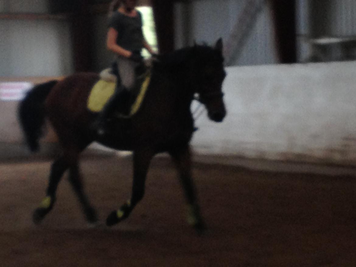 Anden særlig race Laura - Looove <3 billede 13