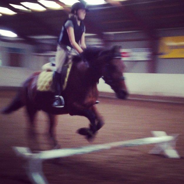 Anden særlig race Laura - Spring! :D billede 14