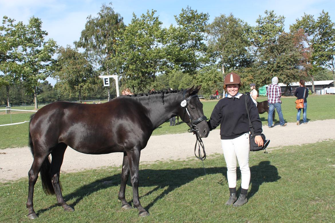 DSP Fiona - Store Hestedag 2013 billede 7