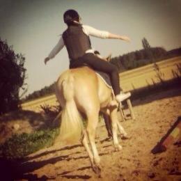 Haflinger Enghaves Bounty [Tidl. Hest] - Første gang jeg var oppe at sidde på lille tut <3 billede 10