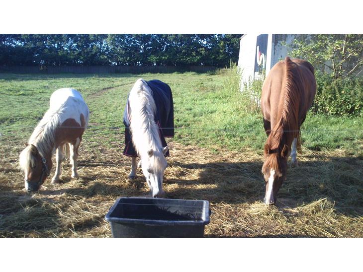 {{currentPhoto.altText}} billede {{currentPhoto.number}}