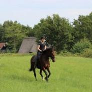 Oldenborg Zerí af Østerdovergaard