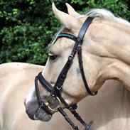 DSP Lykkehøjs Medina