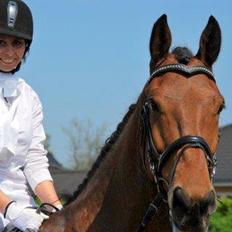 Anden særlig race Calypso