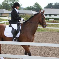 Anden særlig race Calypso