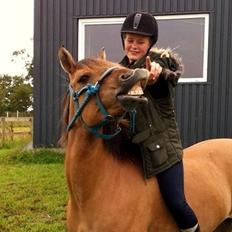 Anden særlig race Zenta