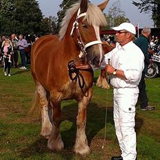 Jyde Isabella af Lavrens *solgt*