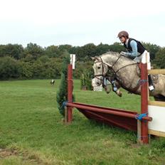 Pura Raza Española Campanero *Æseløre*