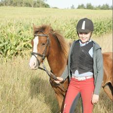 Anden særlig race Zivas [Tidl. lånepony]