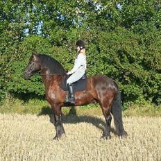 Frieser Branco af Stasevang