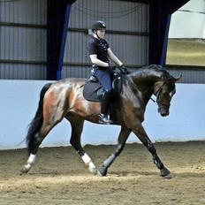 Dansk Varmblod First Move A.B.