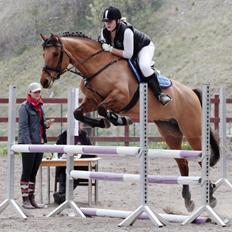 Anden særlig race Zippo