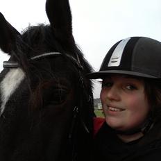 Dansk Varmblod Urkon af Enggaarden